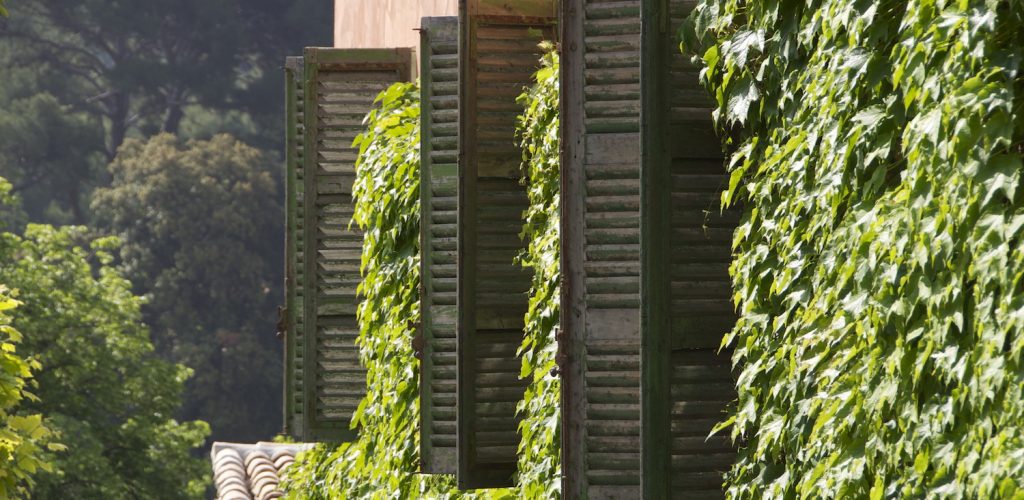 maison9_cassis_chambresdhotes_volets